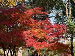-杭州电子科技大学(下沙校区)