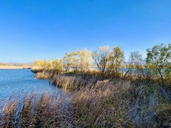 -野鸭湖国家湿地公园