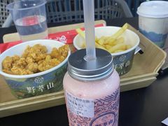 -野萃山·潮汕厚果汁(十亩地店)
