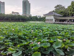 -荔湾湖公园