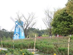 -铁山坪森林公园