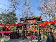 -合肥滨湖国家森林公园