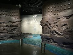 -烟台市博物馆