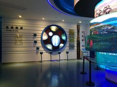 -金钉子远古世界景区