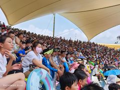 -秦皇岛乐岛海洋王国