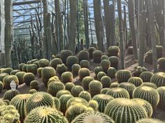 -南山植物园