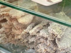 -辽B·小串(总店)