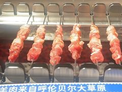 -很久以前羊肉串(朝阳路店)