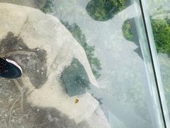 -亚龙湾热带天堂森林公园