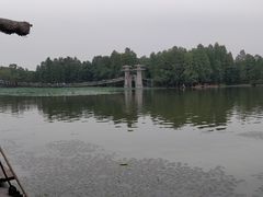 -东湖落雁景区