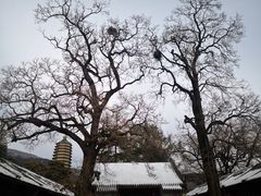 -八大处公园