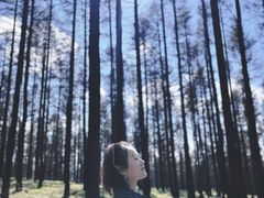 -御道口草原森林风景区