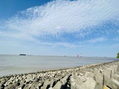 -上海滨江森林公园