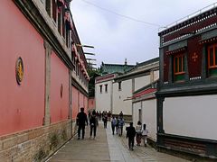 -塔尔寺