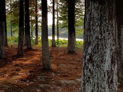 -艾溪湖湿地公园