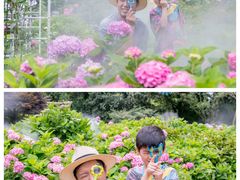 -共青国家森林公园-售票处