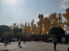 -百林公园-两江幸福广场