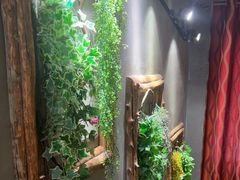 -西西里轰趴日租聚会别墅·团建拓展
