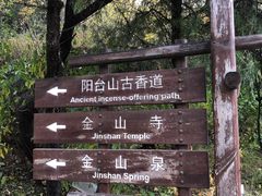 -阳台山自然风景区