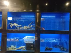 葱油红膏蟹-金时代顺风大酒店(临港百联店)