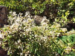 -云峰山自然风景区