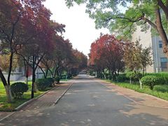 -山东师范大学(千佛山校区)