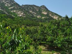 -大泽山风景名胜区