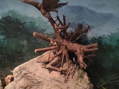 -烟台自然博物馆