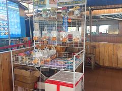 -蓝湾碧波·老字号·疍家非遗海上餐厅