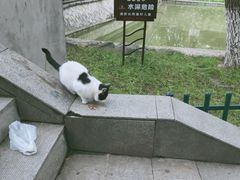 -西安市长乐公园