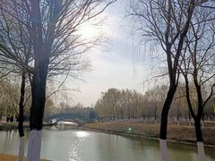 -莫子山公园