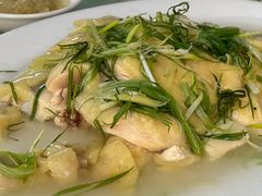 葱油肥鸡-新陶陶酒家