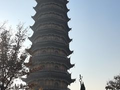 -葛仙湖公园