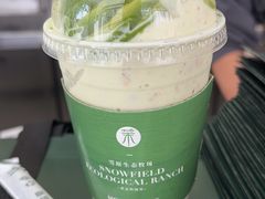 -茉酸奶(春熙路店)