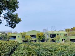-中国茶叶博物馆(双峰馆区)