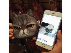 -猫咪博物馆(顶澳仔猫街店)