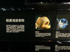 -同济大学四平路校区深海探索馆