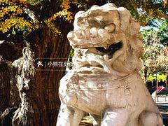 -北京石刻艺术博物馆(五塔寺)