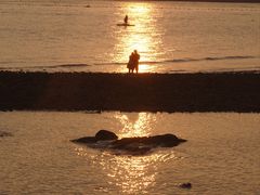 -青岛海滨风景区