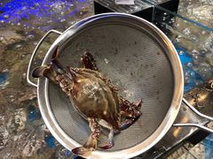 -盒马鲜生(联投广场店)