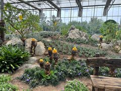 -南通洲际绿博园