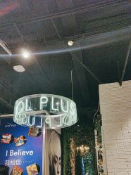 -IDOL-PLUS