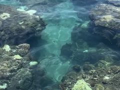 -三亚西岛海洋文化旅游区