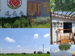 -小陆莲花蟹园农家乐(莲花岛店)