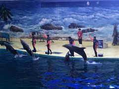 -福州罗源湾海洋世界旅游区