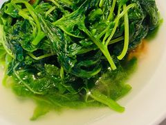 上汤蒜子泡苋菜-利苑酒家(华熙国际店)