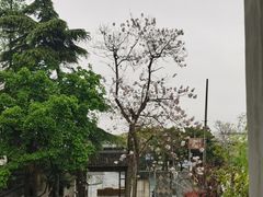 -川沙古镇-停车场