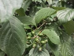 -北仑森林植物园