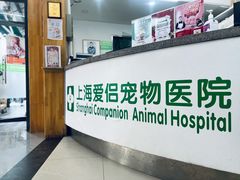 -爱侣宠医·鹦鹉专科·小型哺乳类·异宠专科(灵石路店)