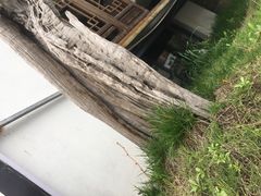 -徽三说·土徽菜·中国徽菜连锁品牌(一中店)